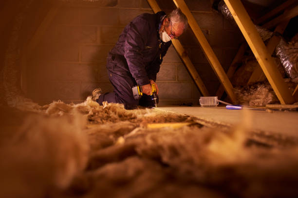 Types of Insulation We Offer in Senoia, GA